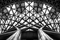 DSCF0882